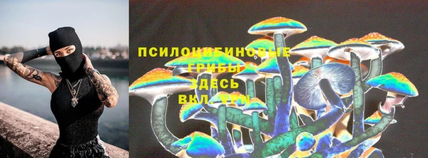 меф Алексин