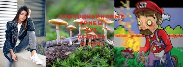 меф Алексин